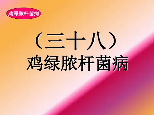禽病学禽病临床诊断彩色图谱绿脓杆菌病西南民族大学整理.ppt