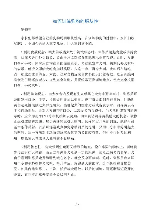 如何训练狗狗的服从性
