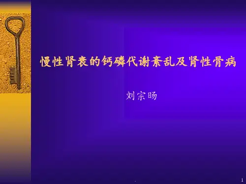 慢性肾衰的钙磷代谢紊乱及肾性骨病PPT课件