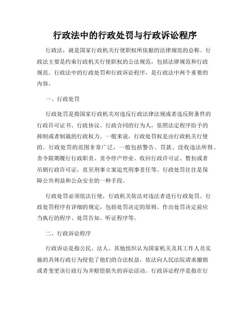 行政法中的行政处罚与行政诉讼程序