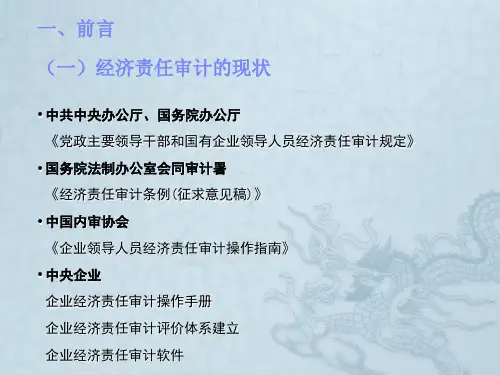经济责任审计培训班讲义注协