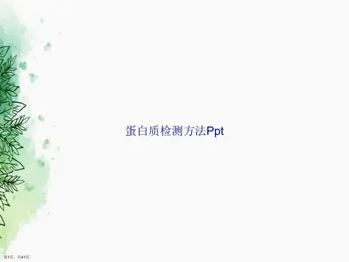 蛋白质检测方法Ppt讲课文档