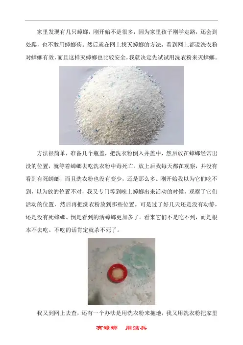 蟑螂真会去吃洗衣粉吗