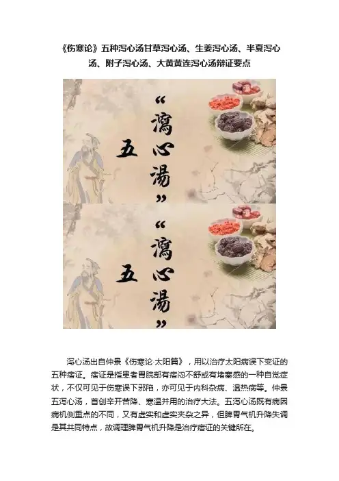 《伤寒论》五种泻心汤甘草泻心汤、生姜泻心汤、半夏泻心汤、附子泻心汤、大黄黄连泻心汤辩证要点