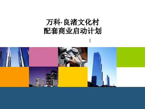 良渚文化村规划及启动计划