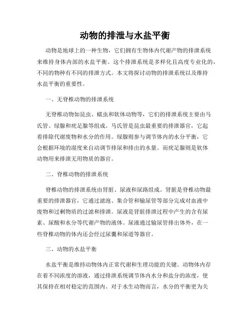 动物的排泄与水盐平衡