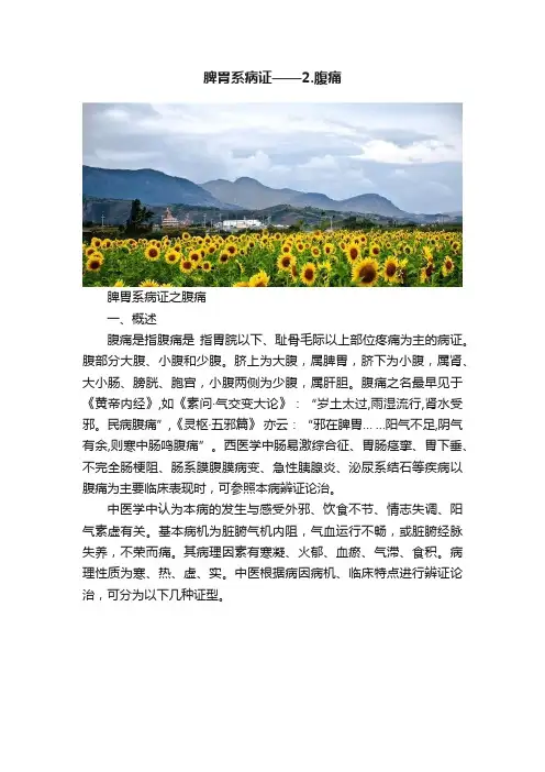 脾胃系病证——2.腹痛