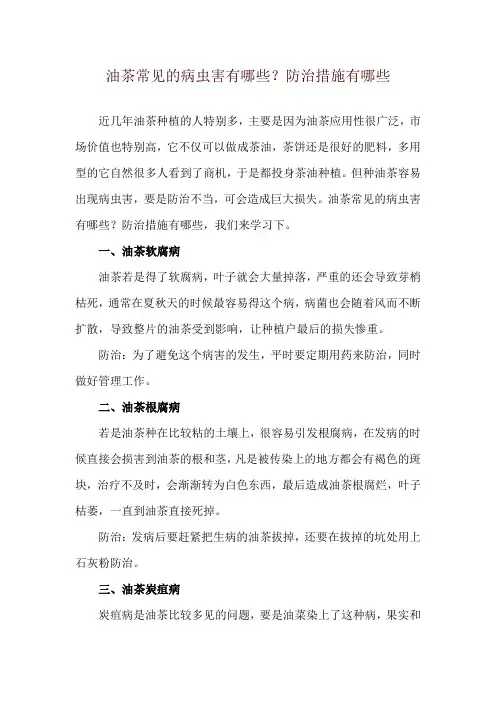 油茶常见的病虫害有哪些？防治措施有哪些