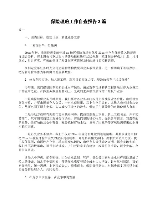 保险理赔工作自查报告3篇