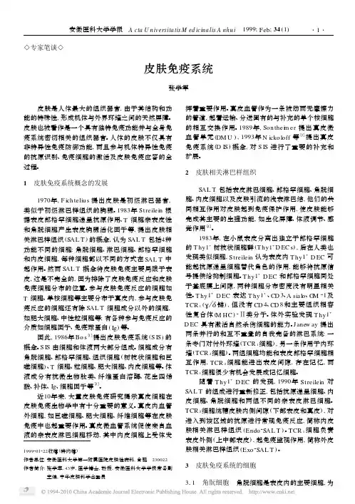 皮肤免疫系统