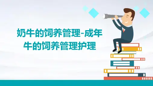 奶牛的饲养管理成年牛的饲养管理护理课件