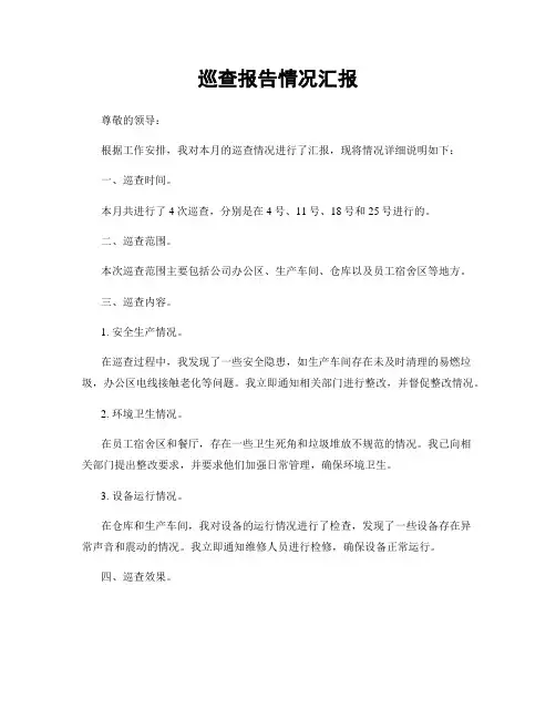 巡查报告情况汇报