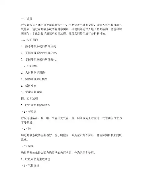 解剖学实训报告呼吸系统
