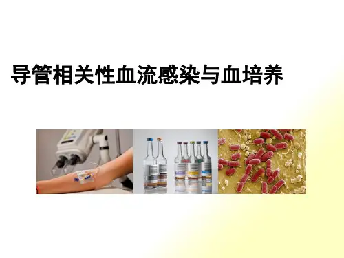ICU：CRBSI与血培养(全版)