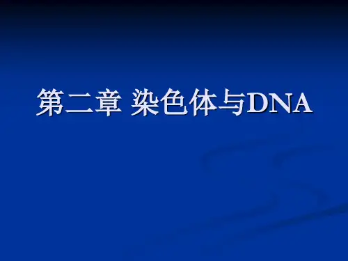 分子生物学ppt课件1幻灯片