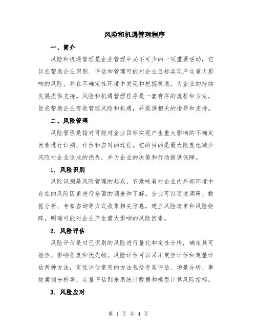 风险和机遇管理程序