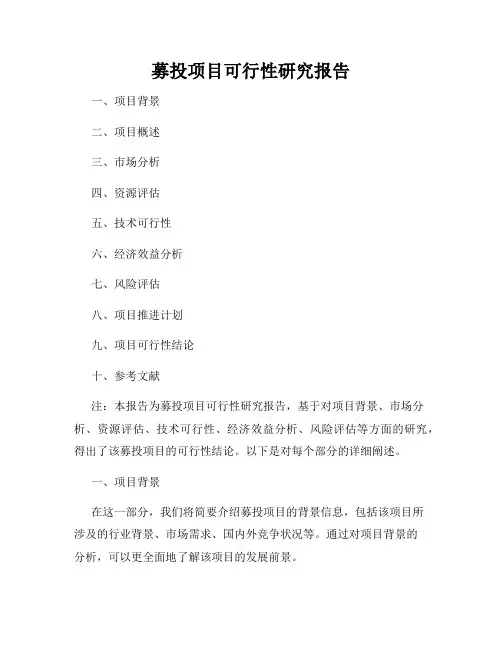 募投项目可行性研究报告