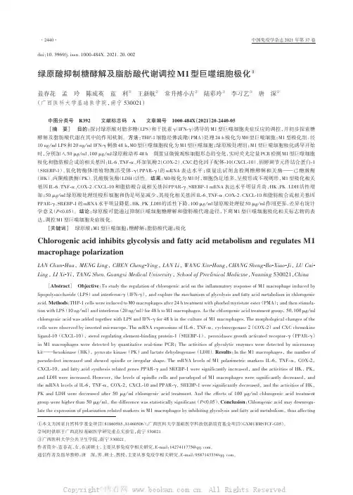 绿原酸抑制糖酵解及脂肪酸代谢调控M1型巨噬细胞极化