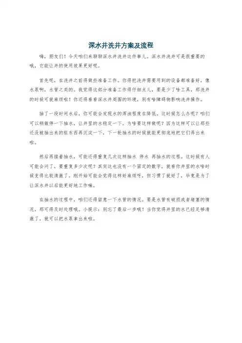 深水井洗井方案及流程