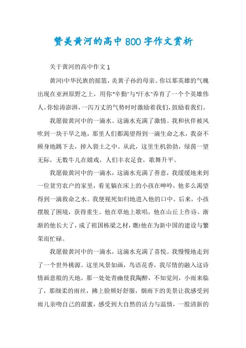 赞美黄河的高中800字作文赏析