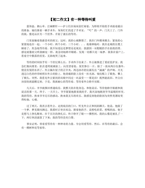 【初二作文】有一种等待叫爱