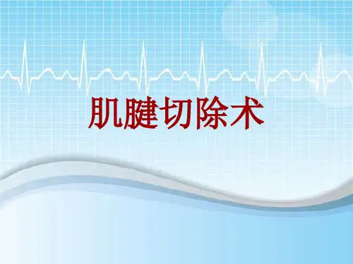 手术讲解模板：肌腱切除术
