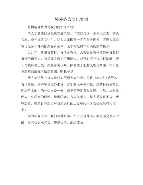 境外势力文化案例