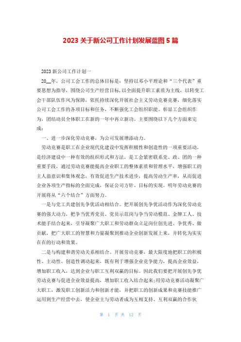 2023关于新公司工作计划发展蓝图5篇