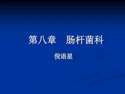 肠杆菌科的细菌