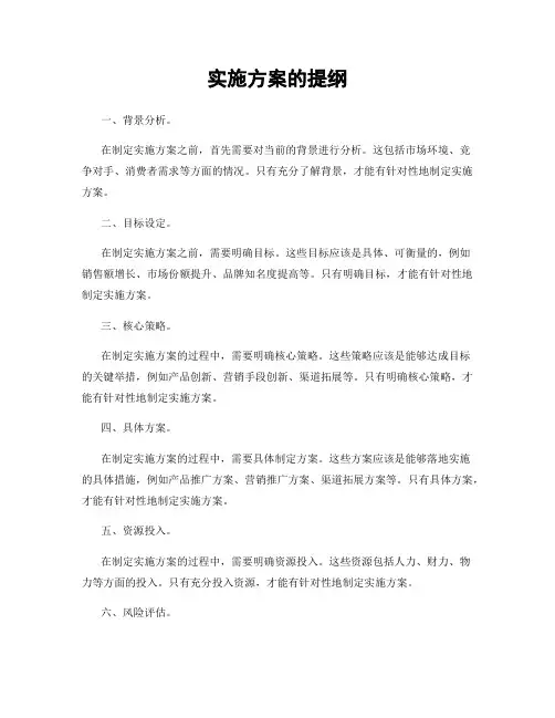 实施方案的提纲