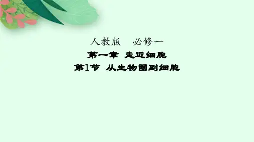 高中生物人教版课件：从生物圈到细胞