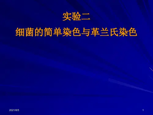 实验二、细菌的简单染色与革兰氏染色