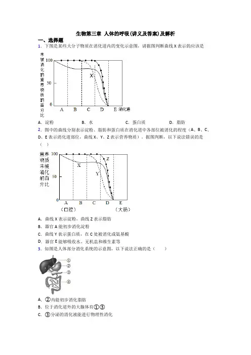 生物第三章 人体的呼吸(讲义及答案)及解析