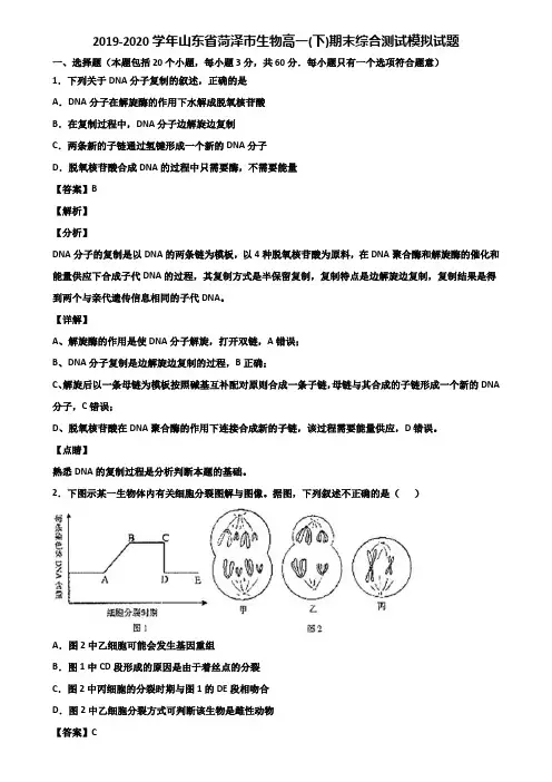 2019-2020学年山东省菏泽市生物高一(下)期末综合测试模拟试题含解析