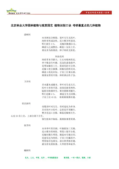 北京林业大学园林植物与观赏园艺 植物部分考点分析