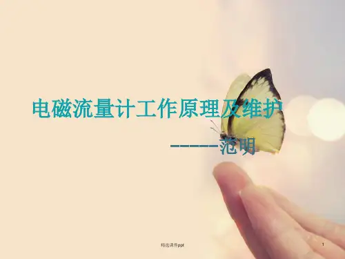 电磁流量计工作原理及维护ppt课件
