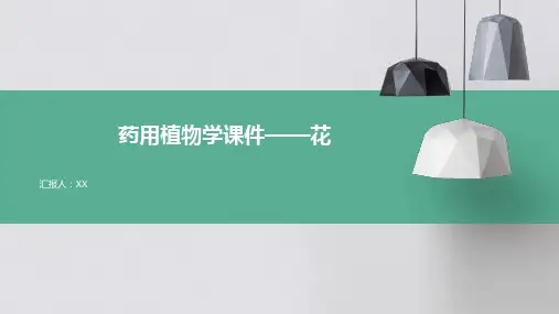 药用植物学课件——花