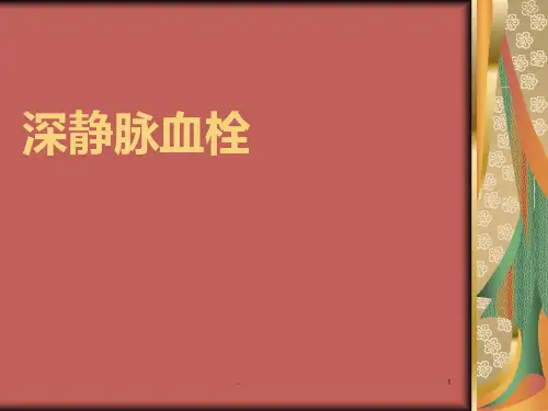 课用__下肢深静脉血栓ppt课件