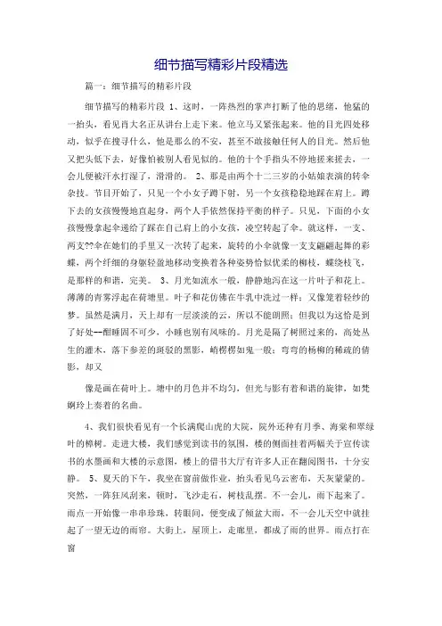 细节描写精彩片段精选