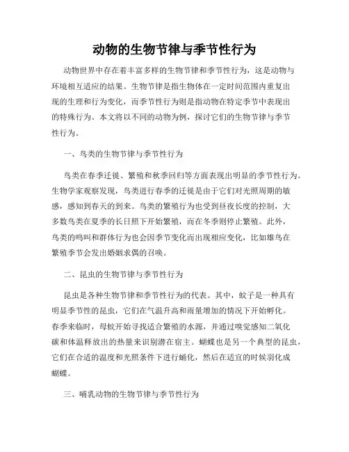 动物的生物节律与季节性行为