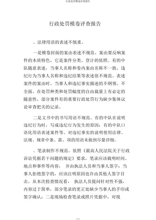 行政处罚案卷评查报告
