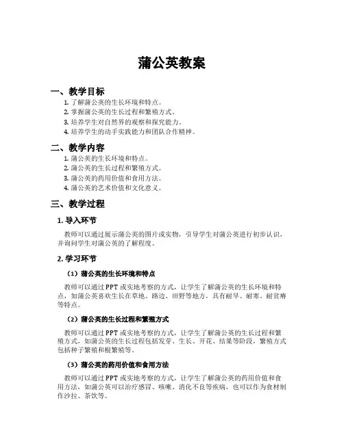 蒲公英教案