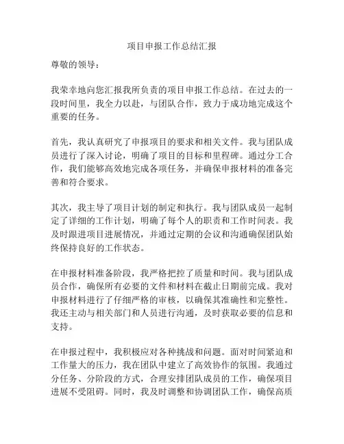 项目申报工作总结汇报