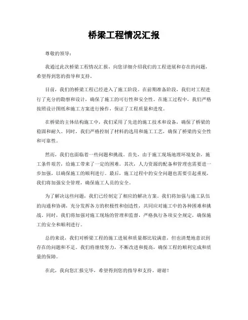 桥梁工程情况汇报