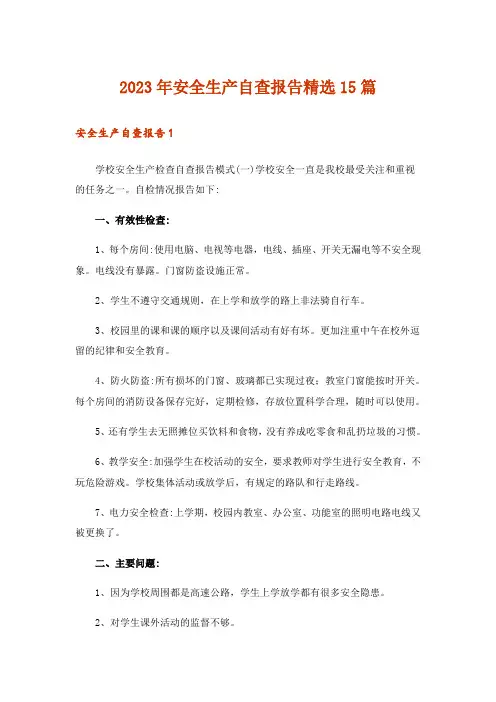 2023年安全生产自查报告精选15篇