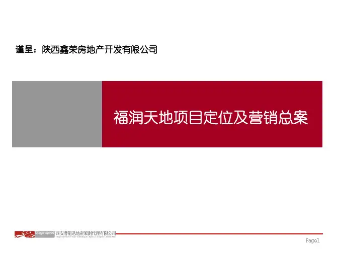 福润天地项目定位及营销总案P