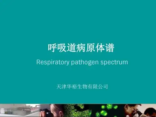呼吸道病原体谱-PPT精品文档