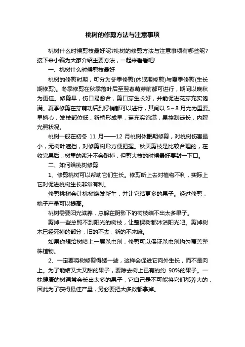 桃树的修剪方法与注意事项