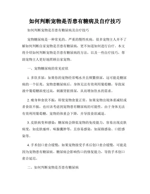如何判断宠物是否患有糖病及自疗技巧