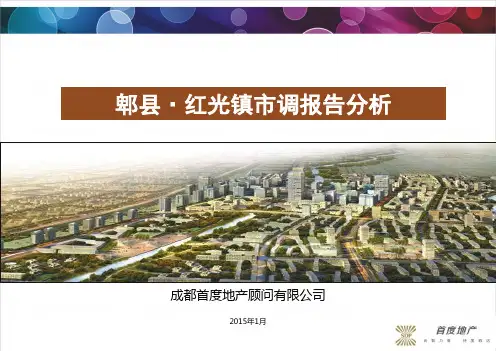 红光镇市调报告
